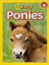 Cover image for Ponies